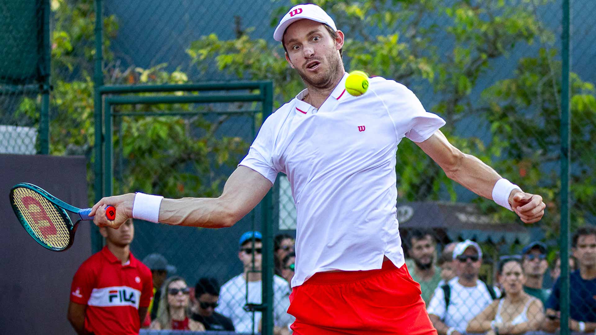 性别差异 性别差异