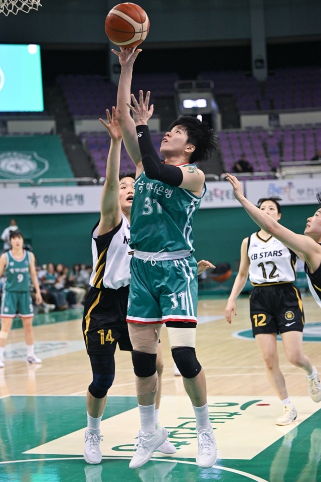 借加盟贝蒂 借加盟贝蒂